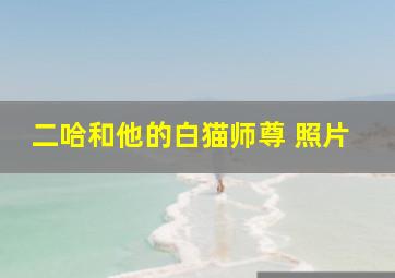 二哈和他的白猫师尊 照片